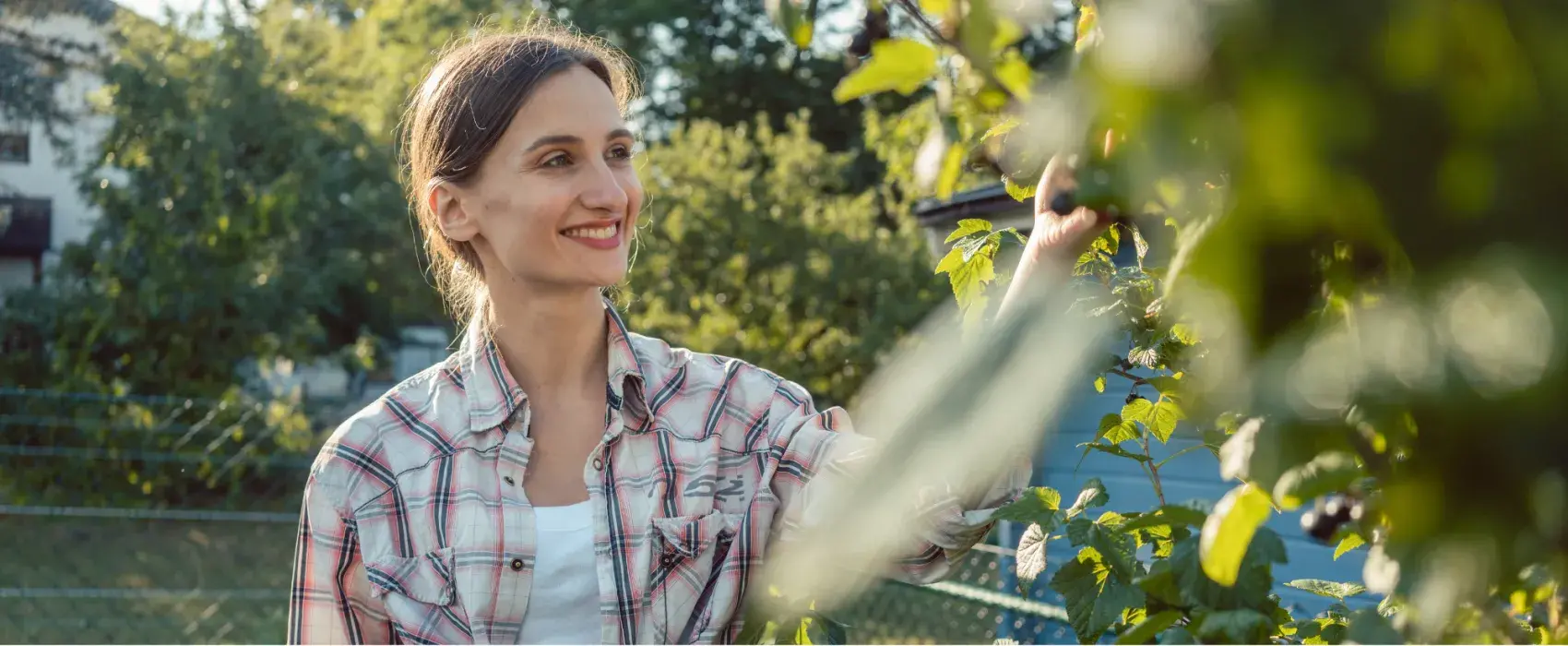 Gardening