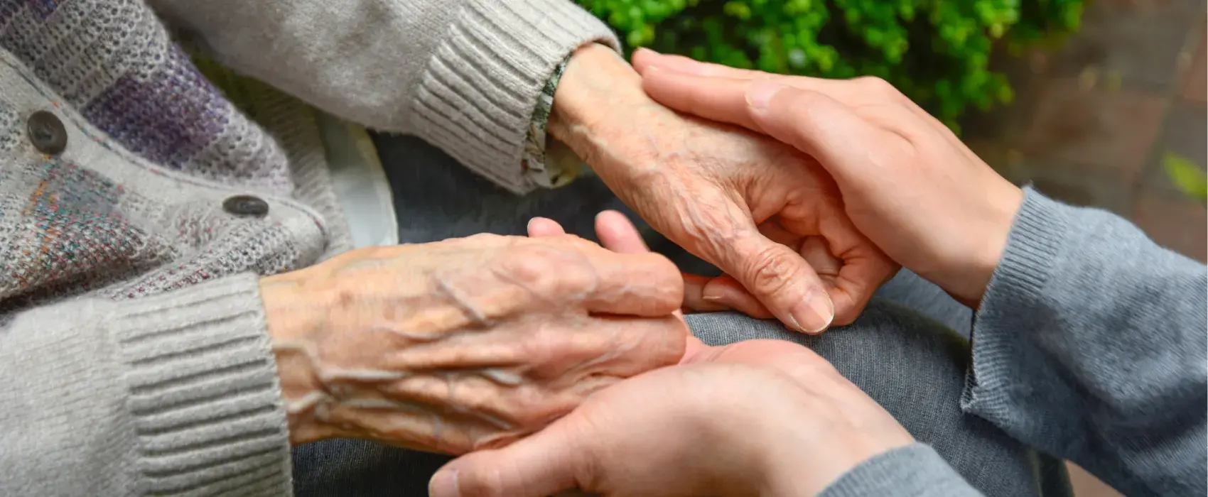 Younger hand holding an elderly hand